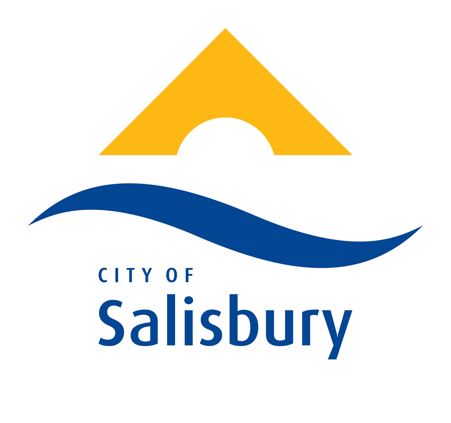 Salisbury Community Hub Library